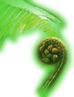 1st Solutions logo
